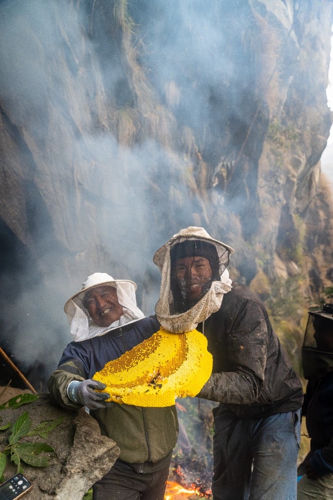 Mad Honey Hunters